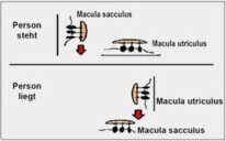 Lage des Körpers im Raum
