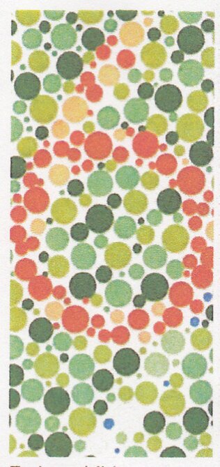 rot und grün blindheit