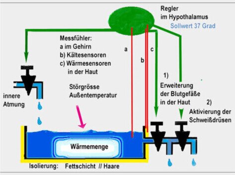 biologische Regelung