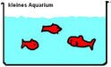 fische Aquarium schema