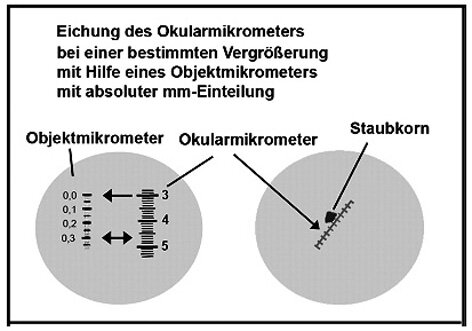 Okular- und Objektiv-mikrometer