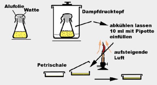 sterile Agarplatten für Schulversuche