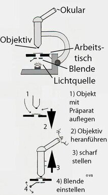 Umgang mit Mikroskop