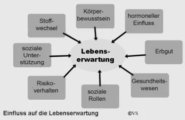 lebenserwartung