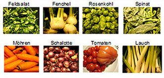 versschiedene Gemüse