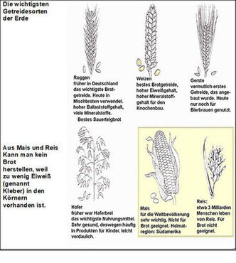 Getreide weltweit