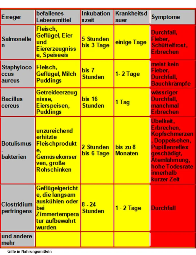 keime in nahrung